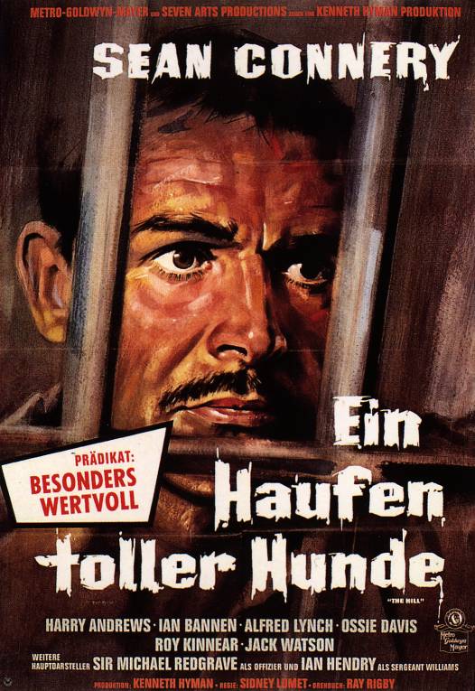 Plakat zum Film: Haufen toller Hunde, Ein