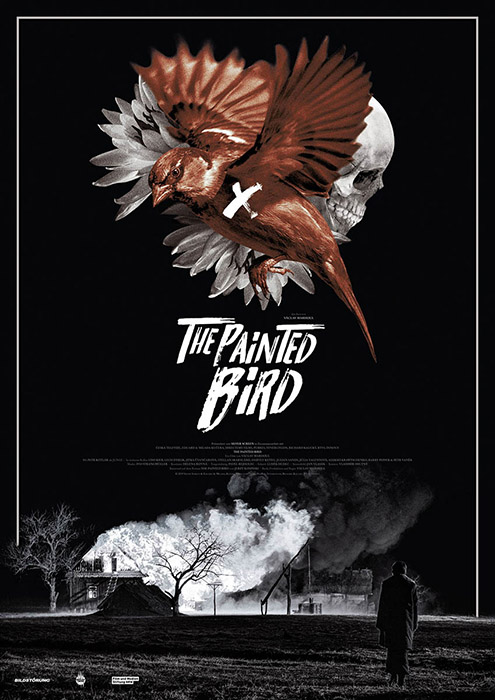 Plakat zum Film: Painted Bird, The
