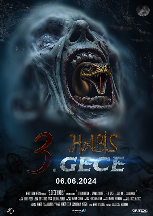 Plakat zum Film: 3. Habİs Gece