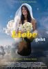 Filmplakat Wie die Liebe geht